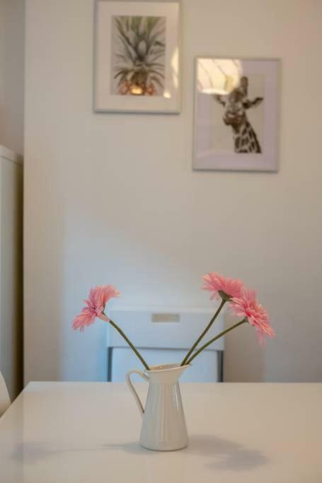 Galway City Cottage Екстер'єр фото